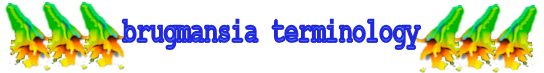 Brugmansia Terminolgy
